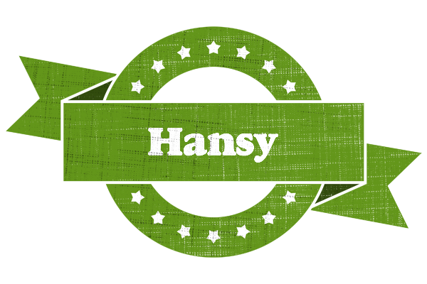 Hansy natural logo