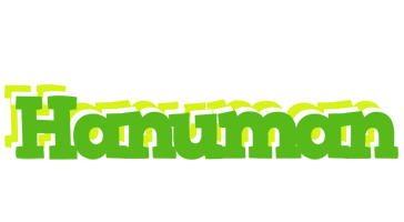 Hanuman picnic logo