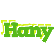 Hany picnic logo