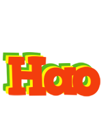 Hao bbq logo