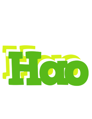Hao picnic logo