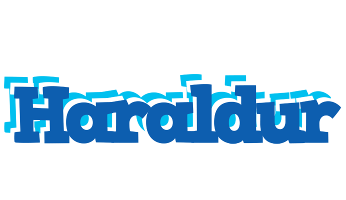 Haraldur business logo