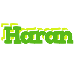 Haran picnic logo