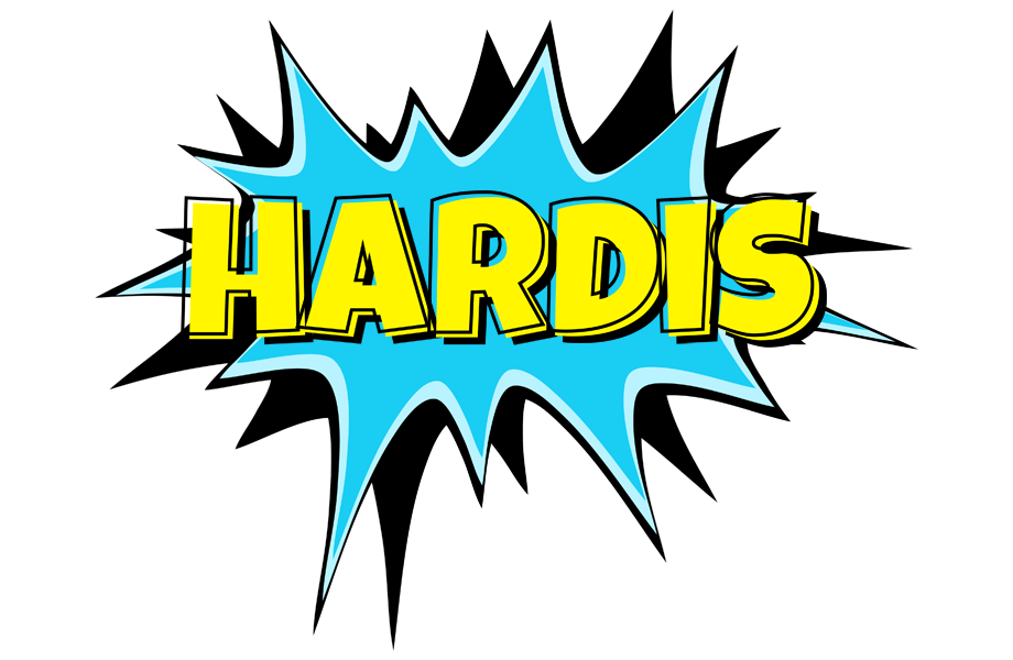 Hardis amazing logo