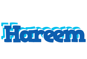 Hareem business logo