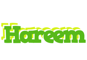 Hareem picnic logo