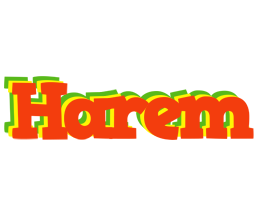 Harem bbq logo