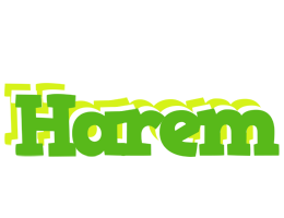 Harem picnic logo