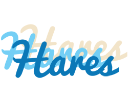 Hares breeze logo