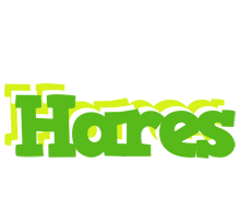 Hares picnic logo