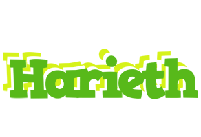 Harieth picnic logo