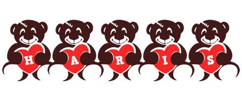Haris bear logo