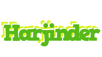 Harjinder picnic logo