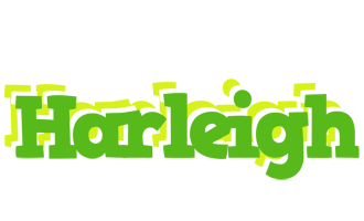 Harleigh picnic logo