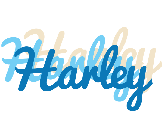 Harley breeze logo