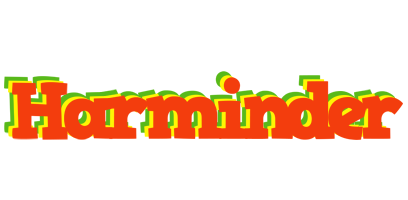 Harminder bbq logo