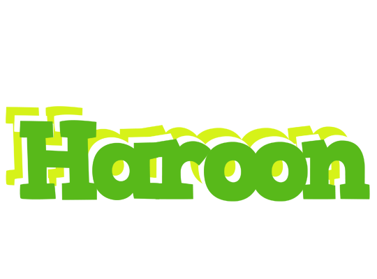 Haroon picnic logo