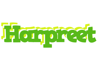 Harpreet picnic logo