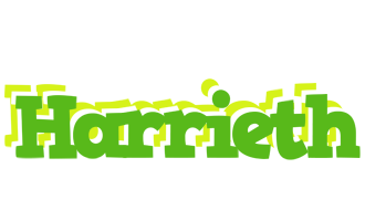 Harrieth picnic logo