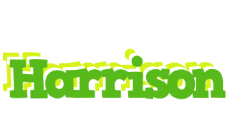 Harrison picnic logo