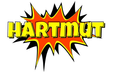 Hartmut bazinga logo