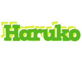 Haruko picnic logo