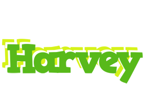 Harvey picnic logo