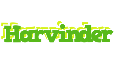 Harvinder picnic logo