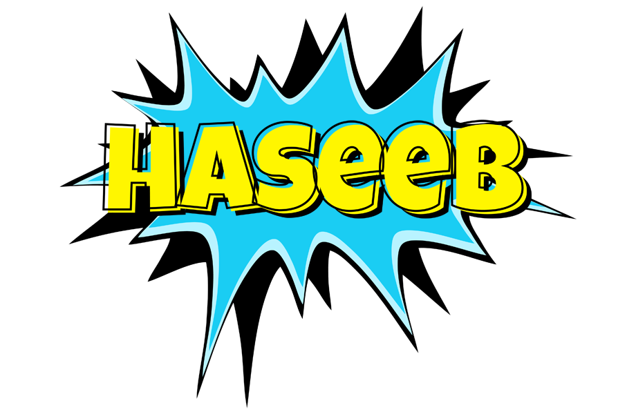 Haseeb amazing logo