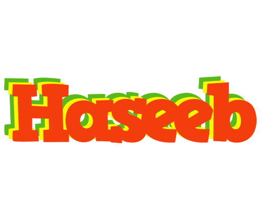 Haseeb bbq logo