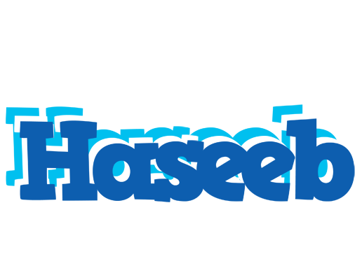 Haseeb business logo