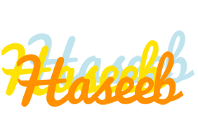 Haseeb energy logo