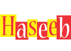 Haseeb errors logo
