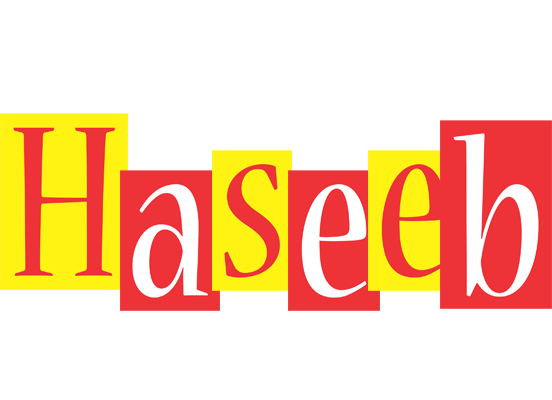 Haseeb errors logo
