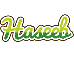 Haseeb golfing logo