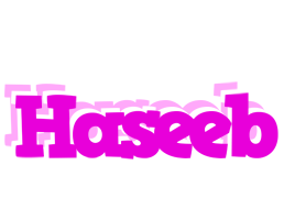 Haseeb rumba logo