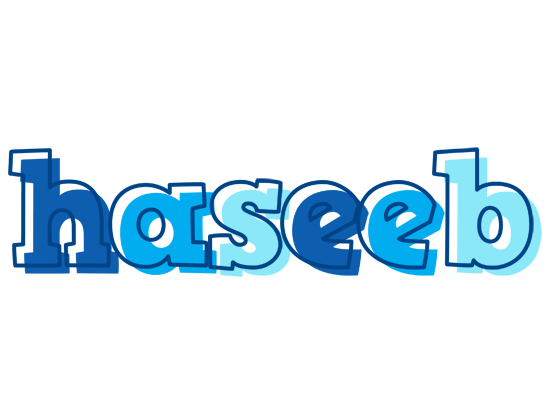 Haseeb sailor logo