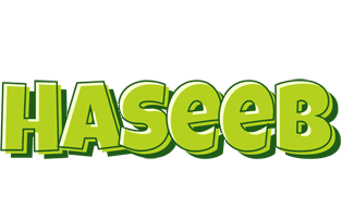 Haseeb summer logo