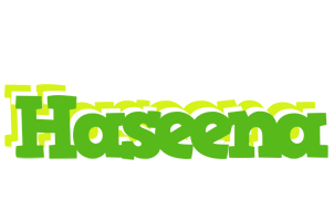 Haseena picnic logo