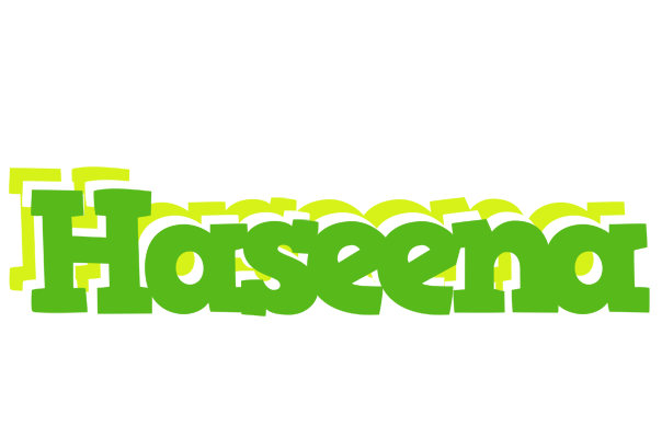Haseena picnic logo