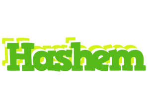 Hashem picnic logo