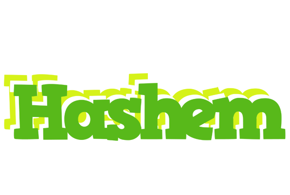 Hashem picnic logo