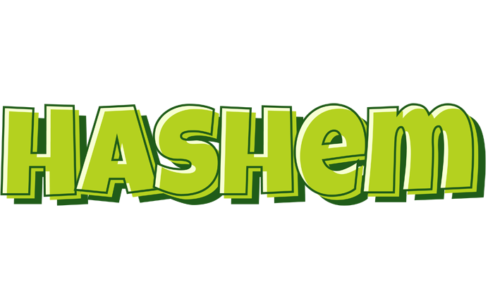 Hashem summer logo