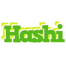 Hashi picnic logo