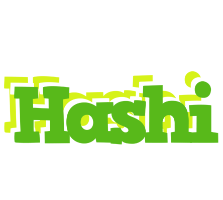 Hashi picnic logo