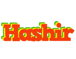 Hashir bbq logo