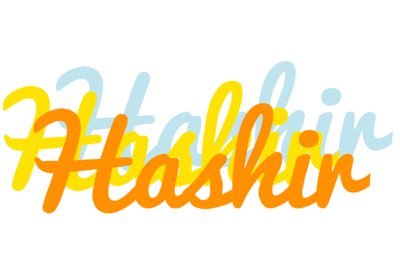 Hashir energy logo