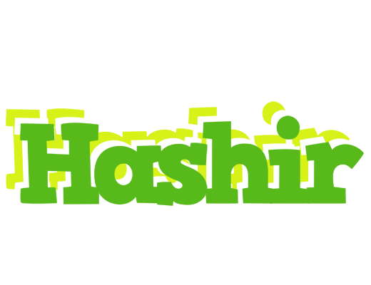 Hashir picnic logo