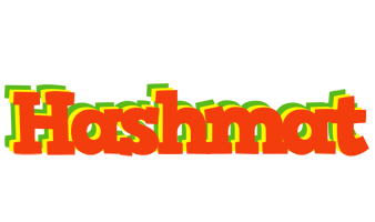 Hashmat bbq logo