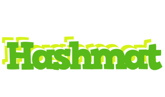 Hashmat picnic logo